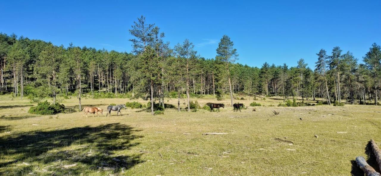 Alojamiento Rural Los Gancheros Tragacete Exterior foto