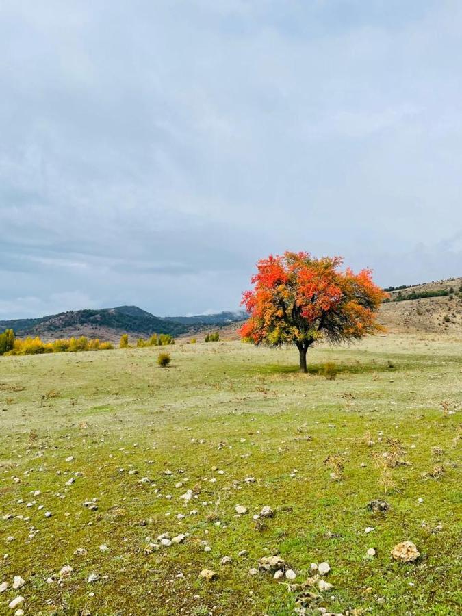 Alojamiento Rural Los Gancheros Tragacete Exterior foto